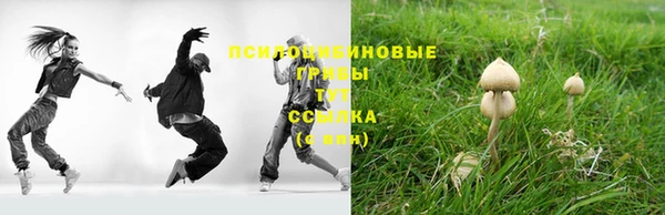 гидропоника Балахна