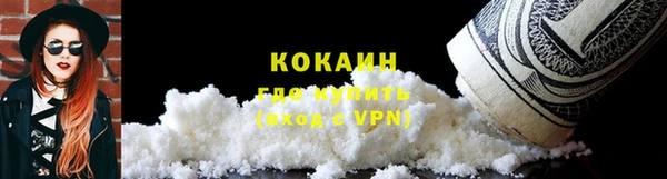 мет Няндома
