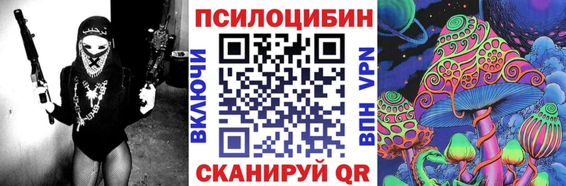 купить   Вихоревка  Галлюциногенные грибы MAGIC MUSHROOMS 